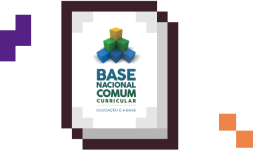 A BASE NACIONAL COMUM CURRICULAR (BNCC)